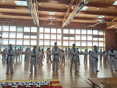 Exhibici de taekwondo