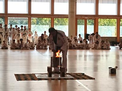 Exhibici de taekwondo