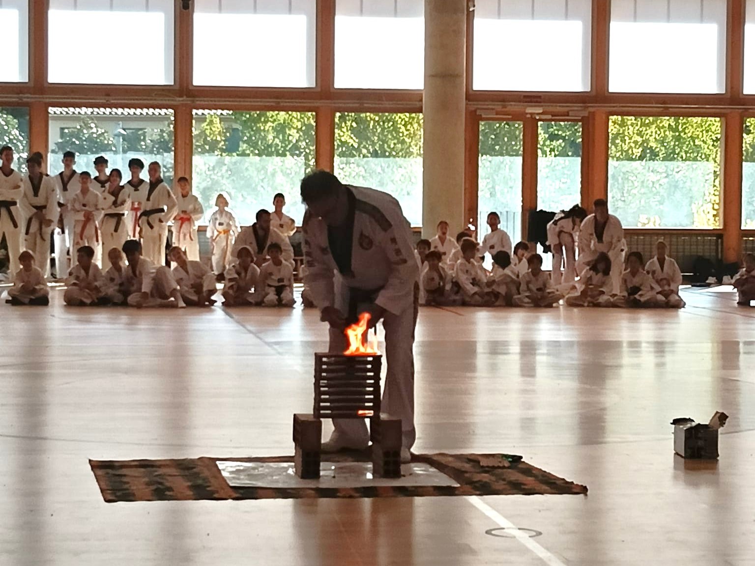 Exhibici de taekwondo