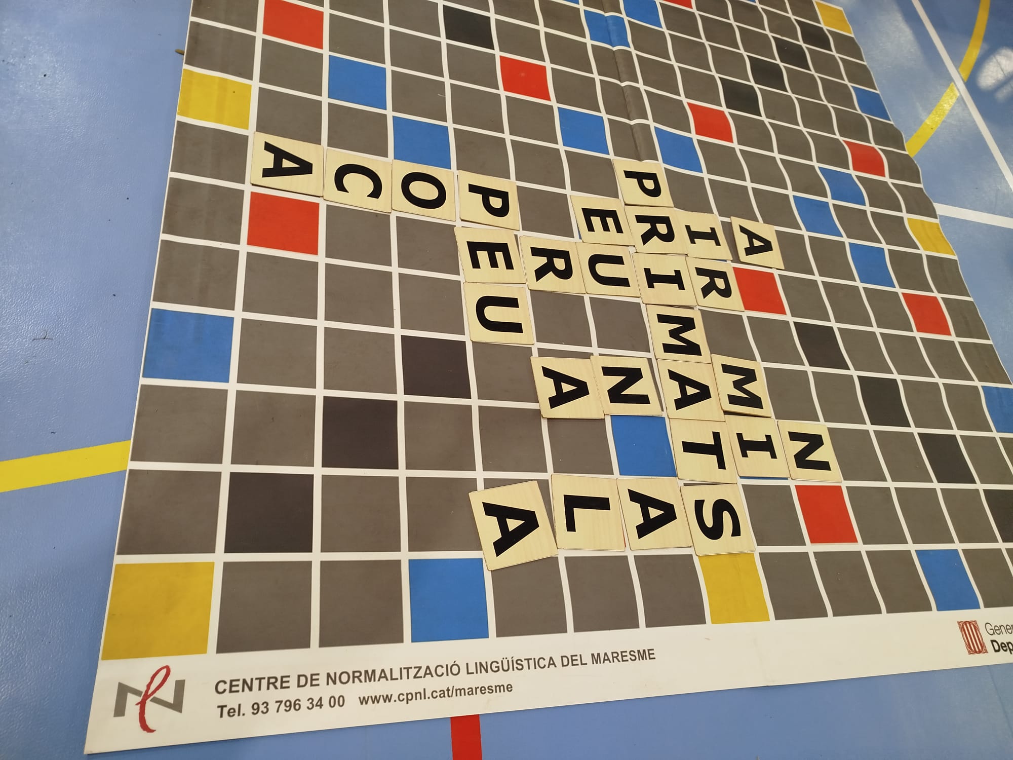 Jornada de jocs de taula, ludoteca i mercat solidari de jocs de la Marat� de 3Cat.