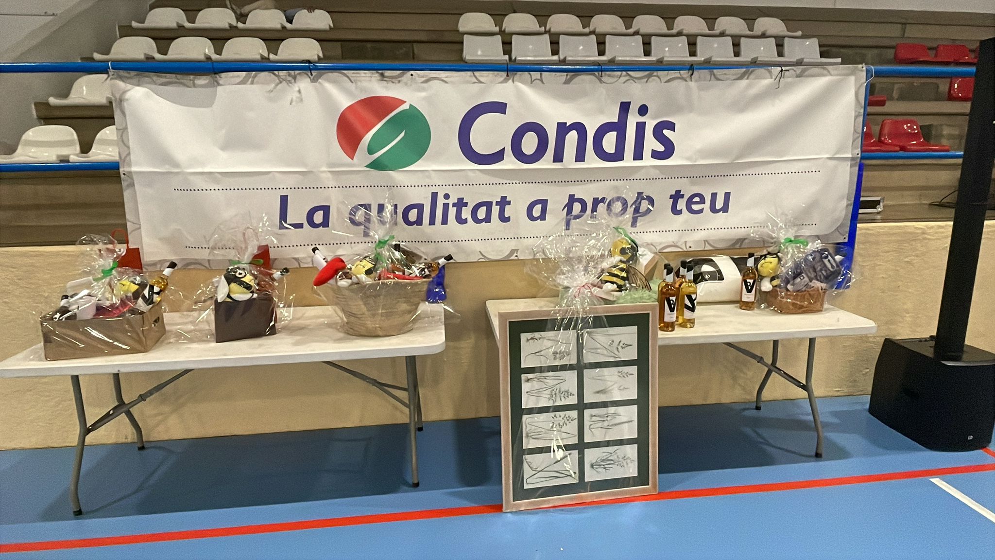 Bingo musical solidari a benefici de La Marat� de 3cat.