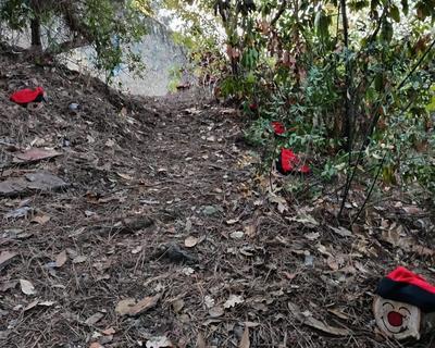 Anem a buscar el Ti�, diumenge 14 de desembre.