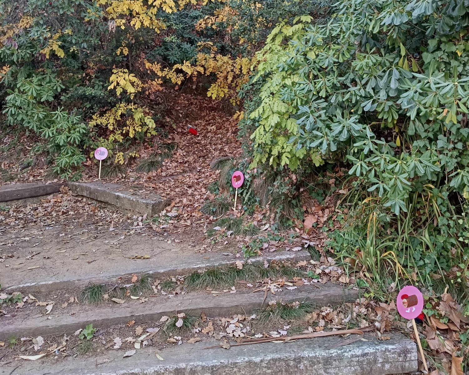 Anem a buscar el Ti�, diumenge 14 de desembre.