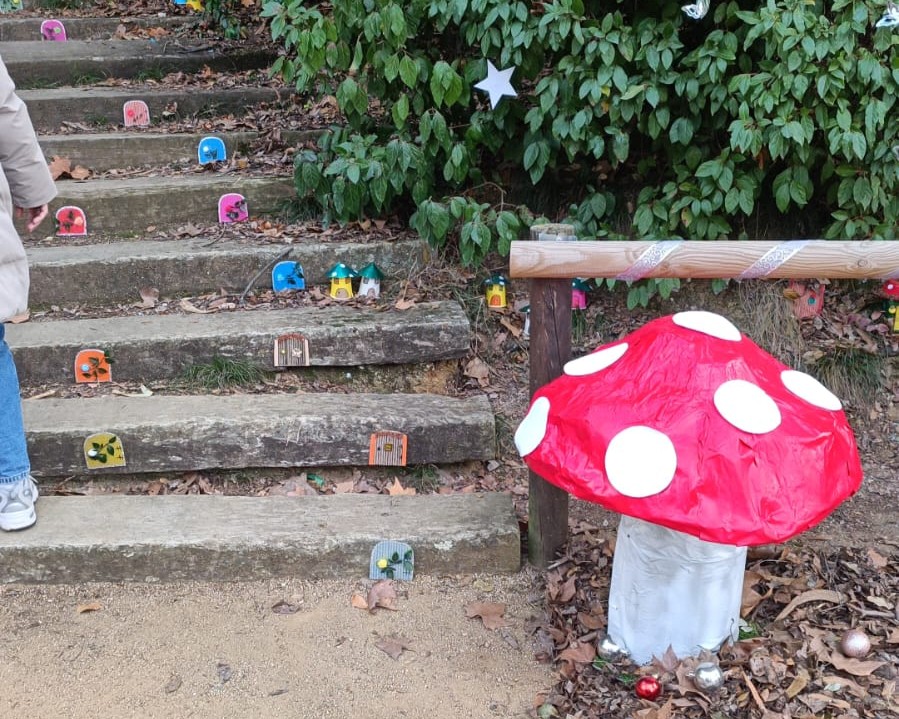 Anem a buscar el Ti�, diumenge 14 de desembre.