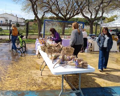 8 de mar�: Fira de la Dona, al parc de Sant Pere.