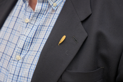 26a Festa del P�sol Garrofal de Llavaneres