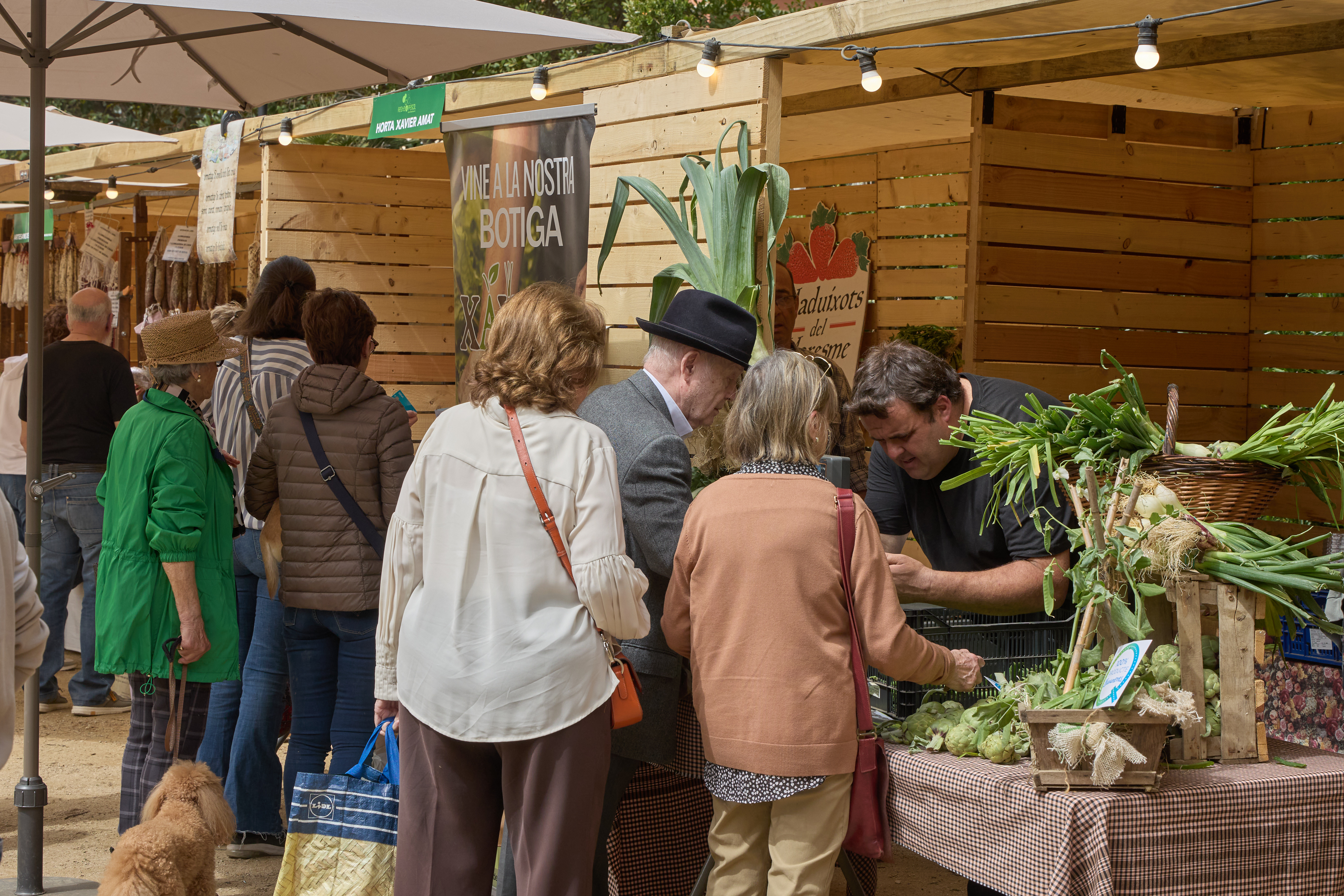 26a Festa del P�sol Garrofal de Llavaneres