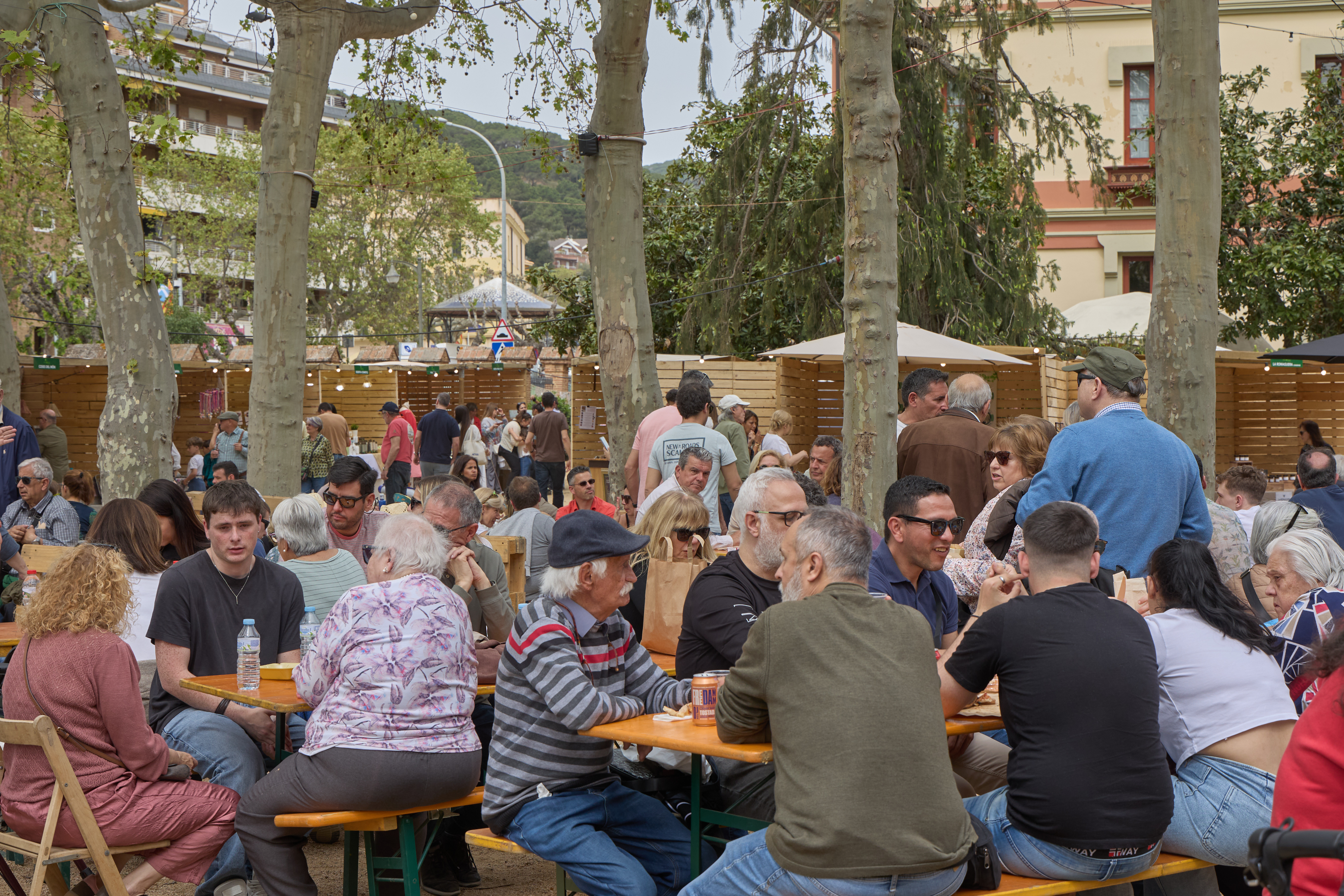 26a Festa del P�sol Garrofal de Llavaneres