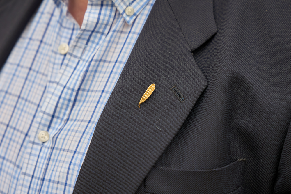 26a Festa del P�sol Garrofal de Llavaneres