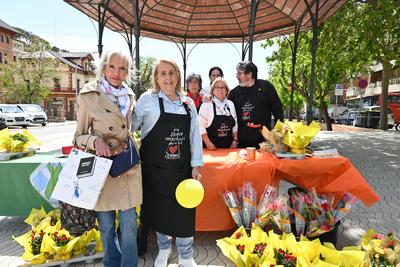 Sant Jordi 2026 a Llavaneres