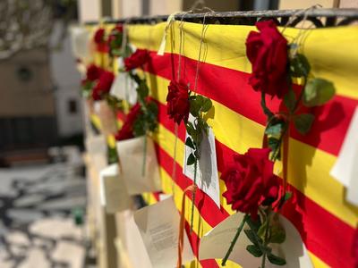 Sant Jordi 2026 a Llavaneres