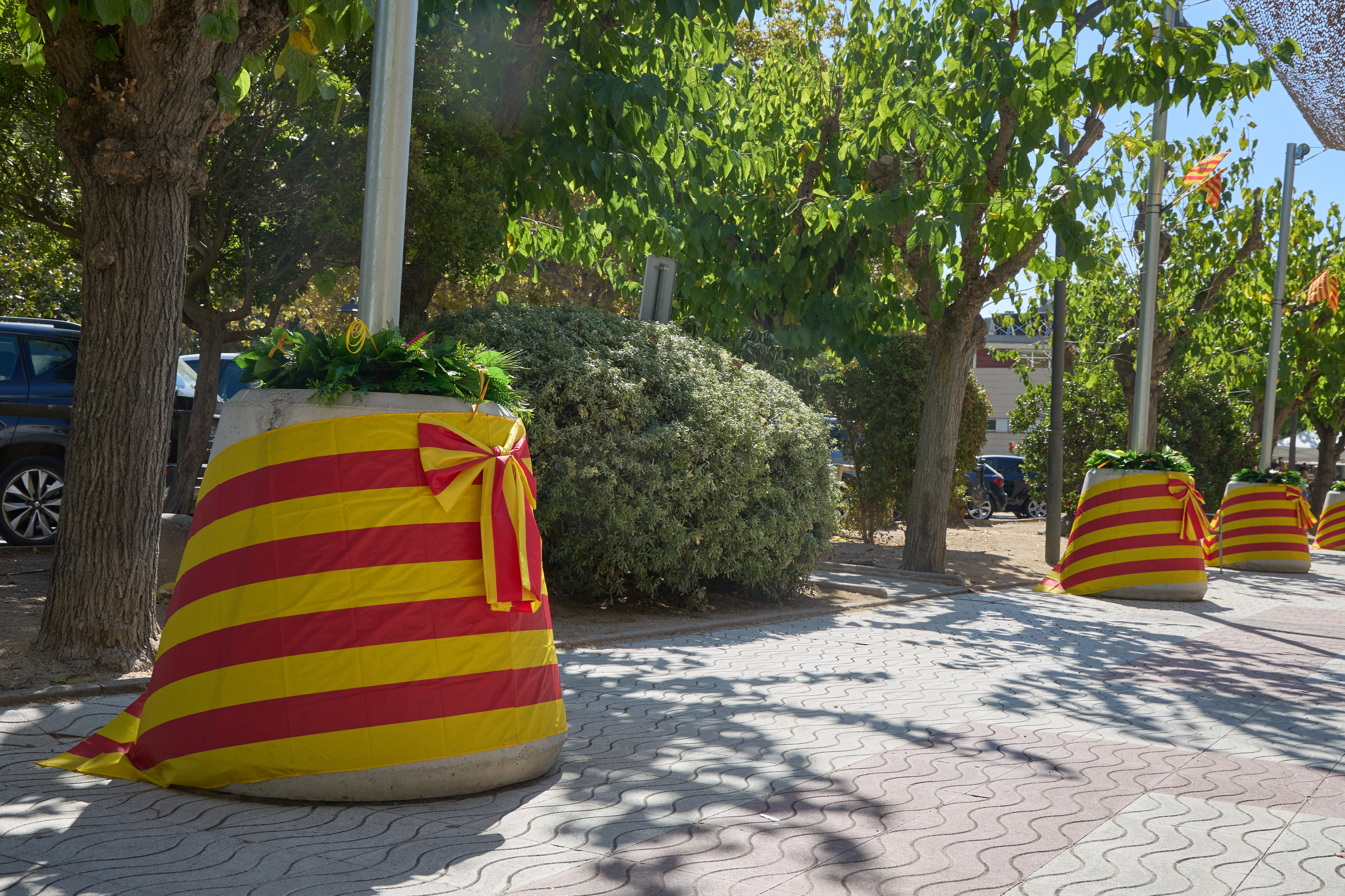 Diada Nacional de Catalunya 2026: les fotos! - Foto 94657993
