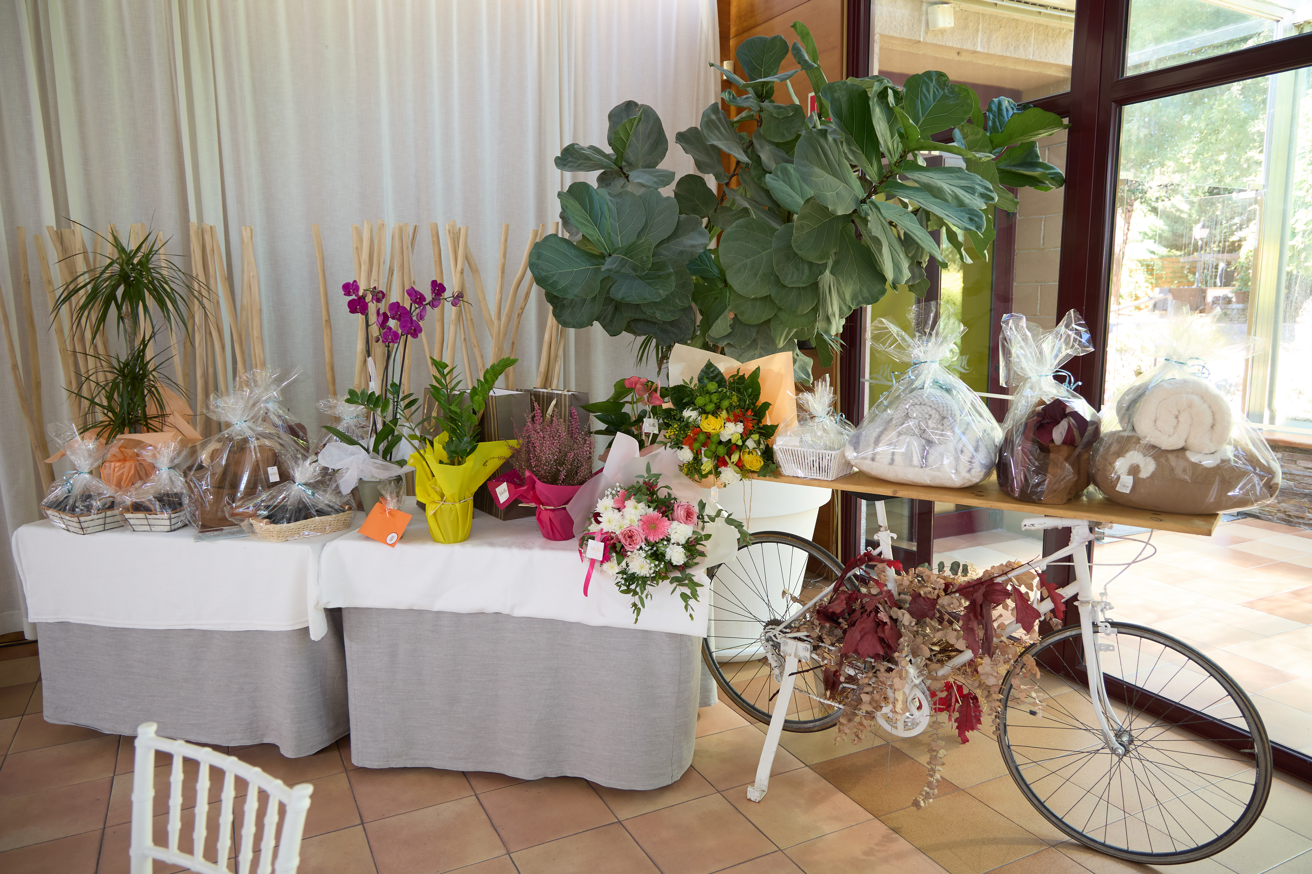 68� Homenatge de la Vellesa: les fotos! - Foto 94786040