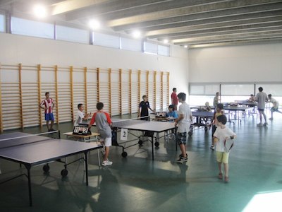 Torneig de tennis taula, a l'Institut de Llavaneres, dissabte 9 de juliol