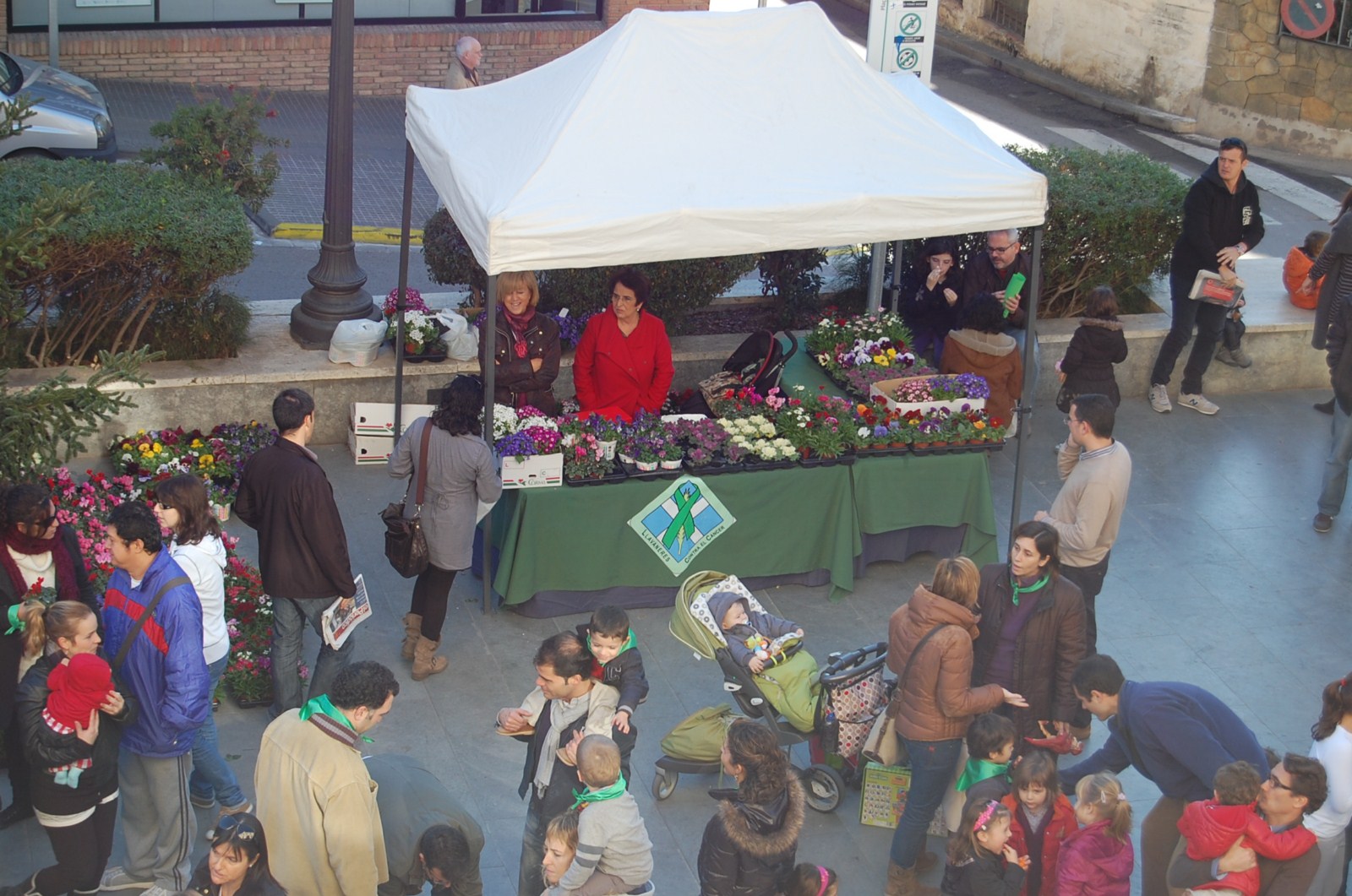 Venda de plantes cedides per Cultius Lloveras SL