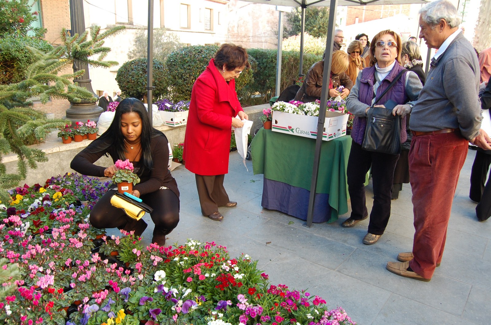 Venda de plantes cedides per Cultius Lloveras SL