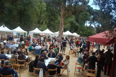Festa del P�sol, 20 i 21 d'abril, al parc de Ca l'Alfaro