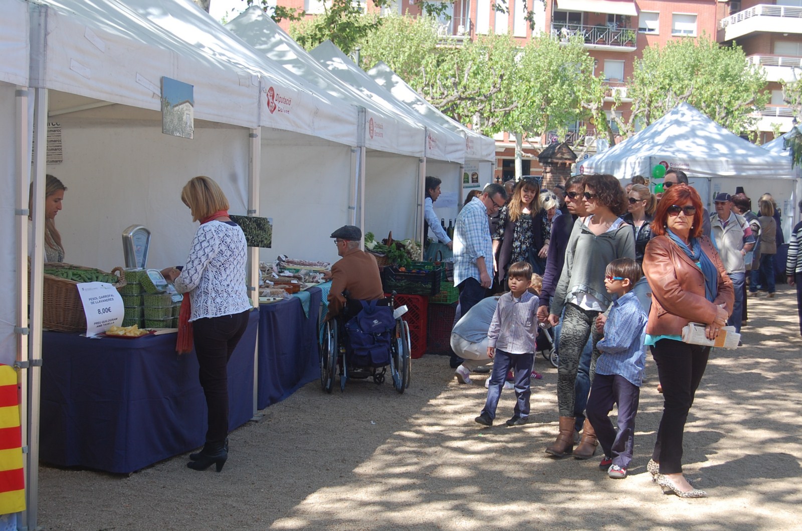 Festa del P�sol, 20 i 21 d'abril, al parc de Ca l'Alfaro