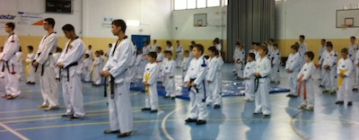 Diumenge 30, pavelló d'Esports: exhibició de taekwondo