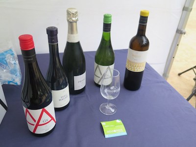 Tast popular de vins, dissabte 18 d'abril, al parc de Ca l'Alfaro, amb Alta Alella