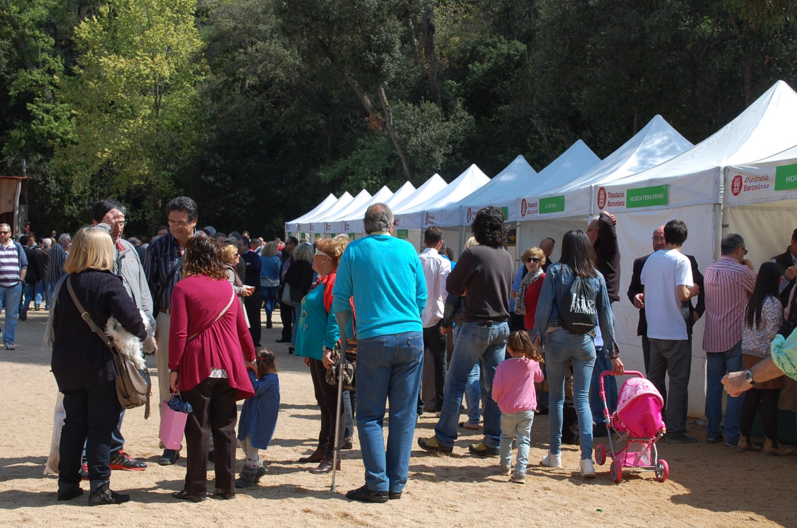 Ambient al parc de Ca l'Alfaro, diumenge 19 d'abril