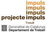 Projecte impuls