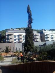 Abans de l'actuaci&oacute;