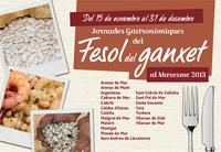 Fesol del ganxet
