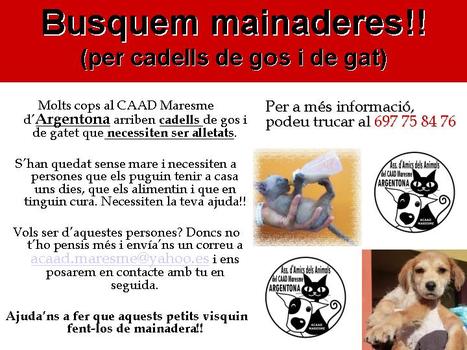 CAAD Maresme