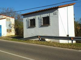 Neteja de pintades
