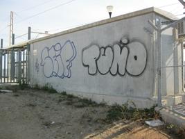 Pintades