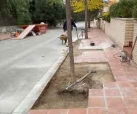 Passeig dels Cedres