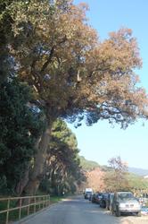 Actuaci&oacute; de millora a Can Cabot de Munt