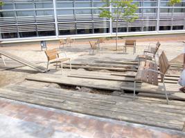 Destrosses al parc de Can Matas