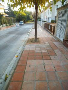 Passeig dels Roures