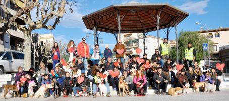 Passejada canina, diumenge 7 de desembre a Llavaneres, a benefici de La Marató de TV3.