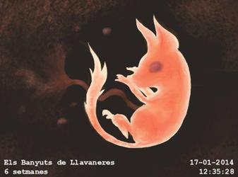 B&egrave;stia de foc d'Els Banyuts