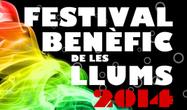 Festival de les Llums 2014