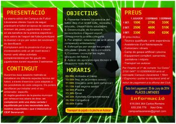 Campus de Futbol