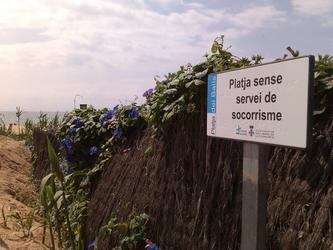 Platja del Bal&iacute;s