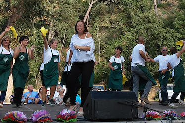 Festa de la Vellesa 2015