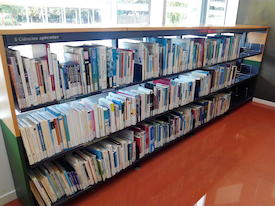 Biblioteca inundada