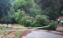 Cam&iacute; de Can Cot