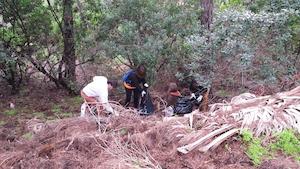 Jornada de neteja de boscos