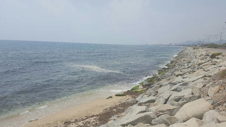 Taca a l'aigua del mar Taca a l'aigua del mar