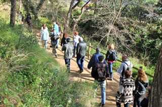 Passejada ambiental