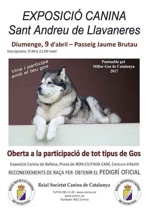 AjLlavaneres | Alcaldia |&nbsp;Mostra canina