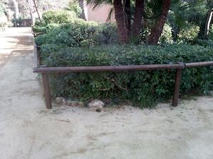 Parc de Ca l'Alfaro. Despr&eacute;s