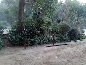 Parc de Ca l'Alfaro. Abans