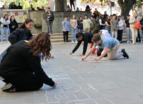 Acció dels alumnes de l'Institut